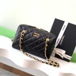 Chanel bag