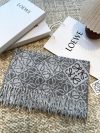 Loewe Fashion scarf - Image 3