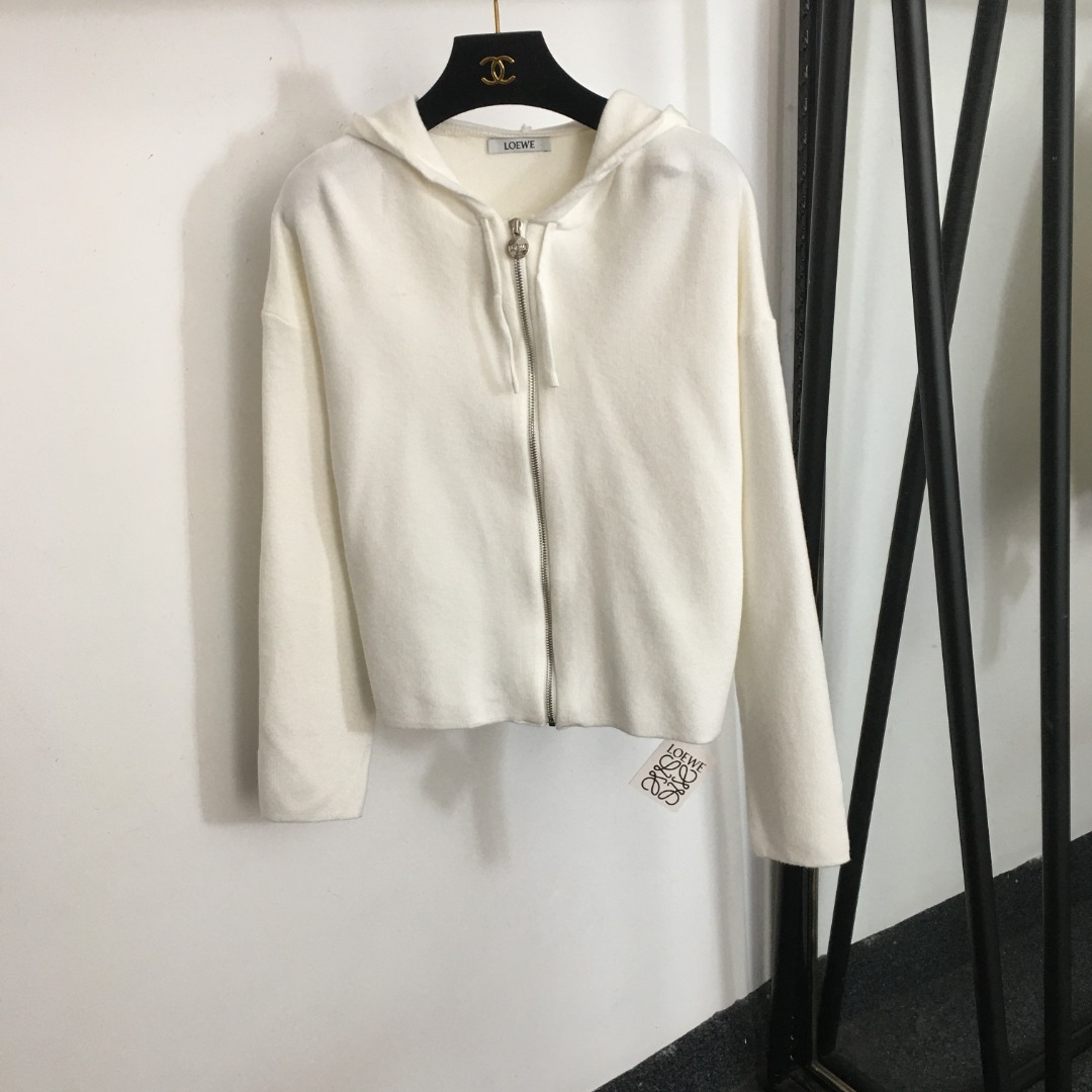 wsxc1760509764937_0 LOEWE cardigan - Image 1