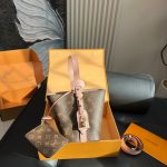 Louis Vuitton Fashion Bag