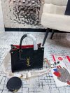 Saint Laurent Fashion Bag