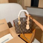 Louis Vuitton Fashion Bag