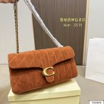 Coach Fashion Bag