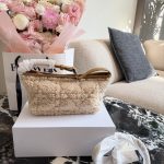Dior Fashion Bag