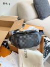 Louis Vuitton Fashion Bag