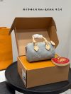 Louis Vuitton Fashion Bag