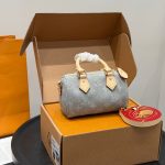 Louis Vuitton Fashion Bag