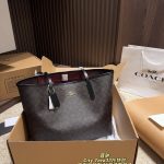 Coach Fashion Bag
