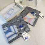 Burberry Fashion Scarf