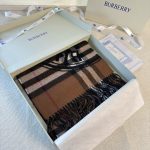 Burberry Fashion Scarf