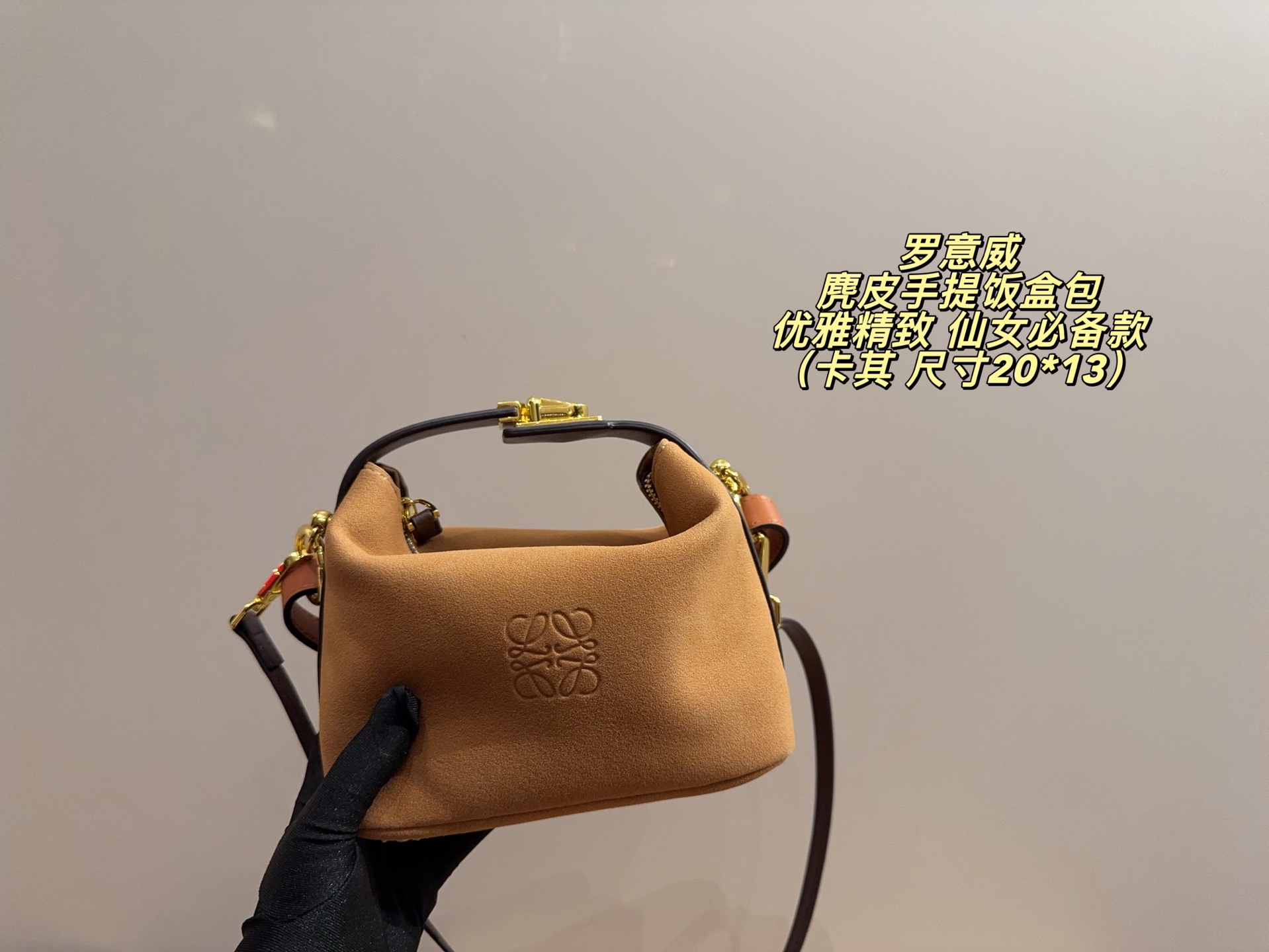 wsxc1761064758825_0 LOEWE Fashion Bag - Image 1
