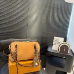 Louis Vuitton Fashion Bag