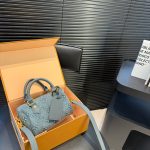 Louis Vuitton Fashion Bag