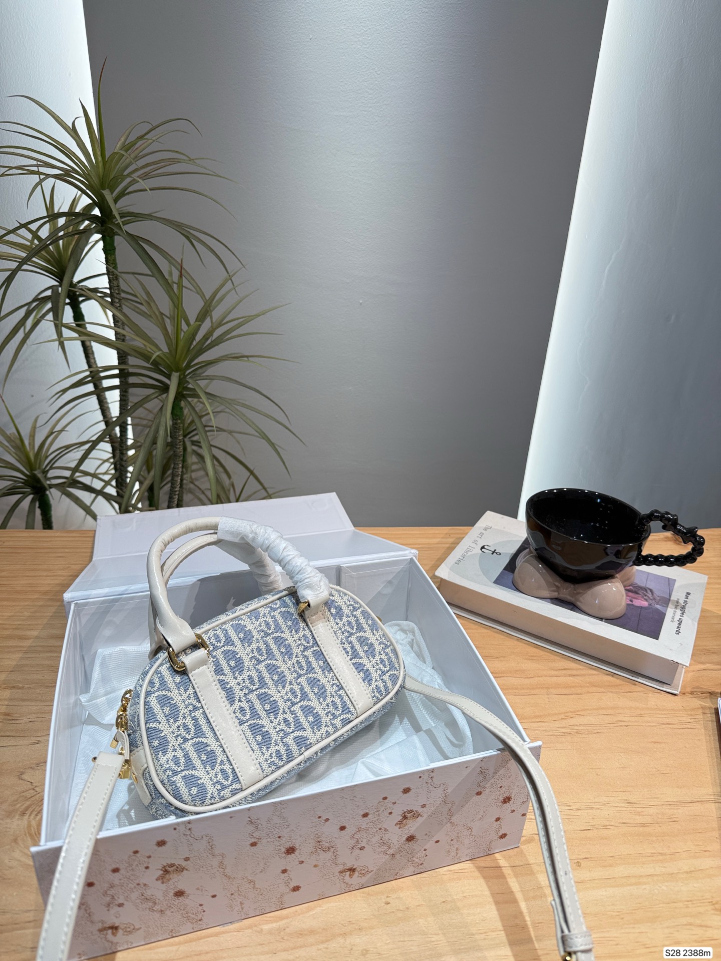 wsxc1761152841627_2 Dior Fashion Bag - Image 1