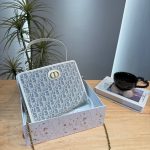 Dior Fashion Bag