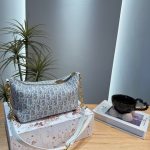 Dior Fashion Bag