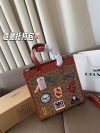 Coach Fashion Bag