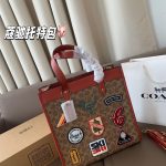 Coach Fashion Bag