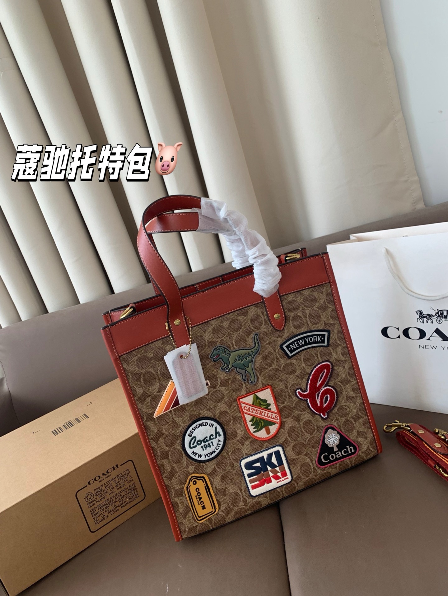 wsxc1761220594567_0 Coach Fashion Bag - Image 1