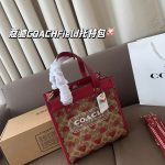 Coach Fashion Bag