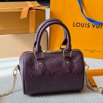 Louis Vuitton Fashion Bag