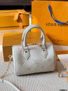 Louis Vuitton Fashion Bag