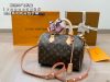 Louis Vuitton Fashion Bag