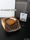 Louis Vuitton Fashion Bag