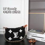 Louis Vuitton Fashion Bag