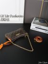 Louis Vuitton Fashion Bag