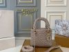 Dior Fashion Bag - Image 7
