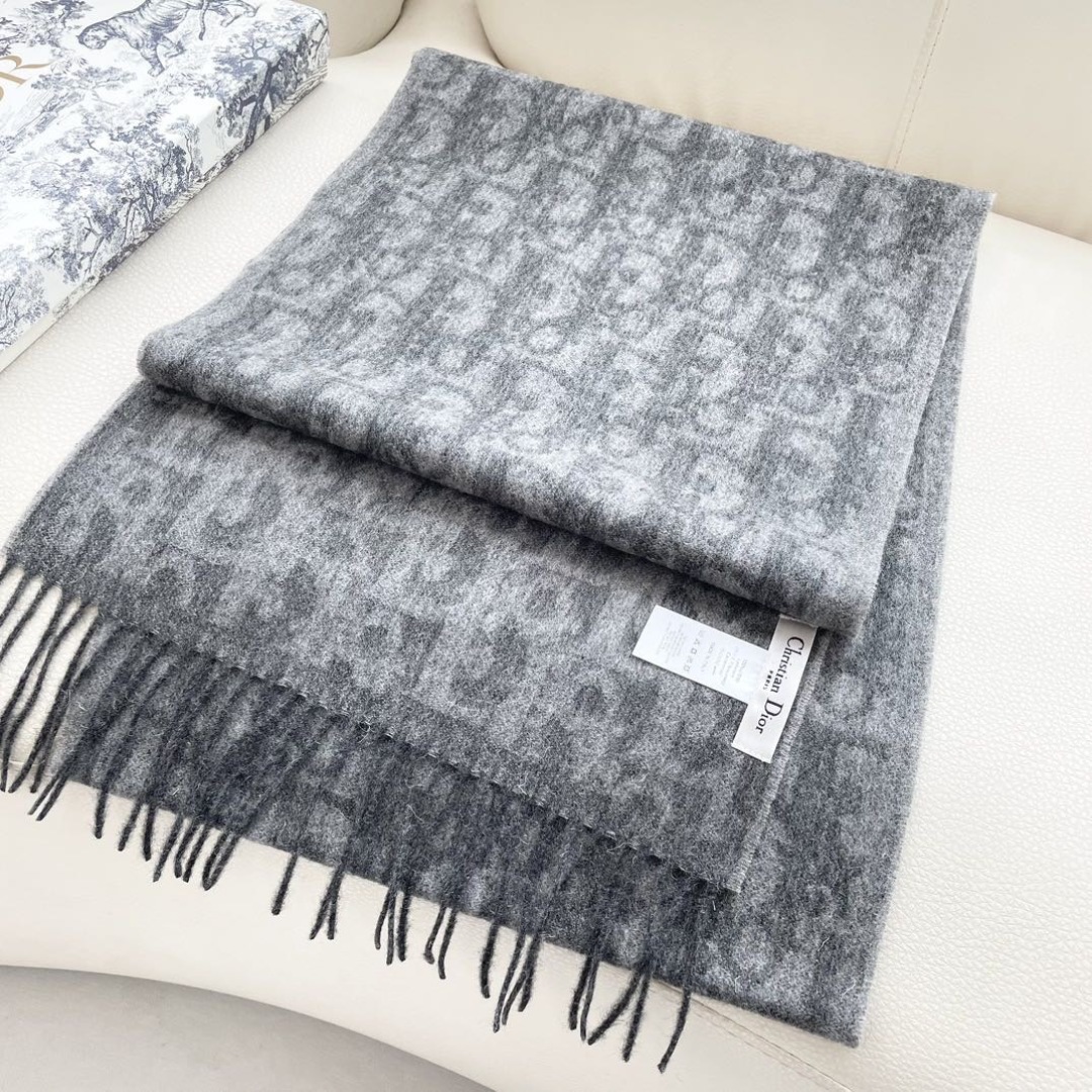 wsxc1761592143423_1 Dior Fashion Scarf - Image 1