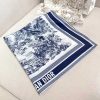 Dior Fashion Scarf - Image 4