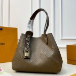 Louis Vuitton Fashion Bag