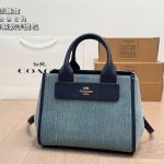 Coach Fashion Bag