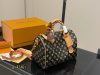 Louis Vuitton Fashion Bag