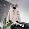 Canada Goose Down Jacket - Image 3