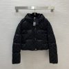 Louis Vuitton Down Jacket - Image 2