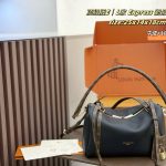Louis Vuitton Fashion Bag