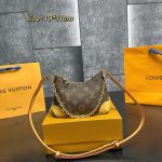 Louis Vuitton Fashion Bag