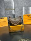 Louis Vuitton Fashion Bag