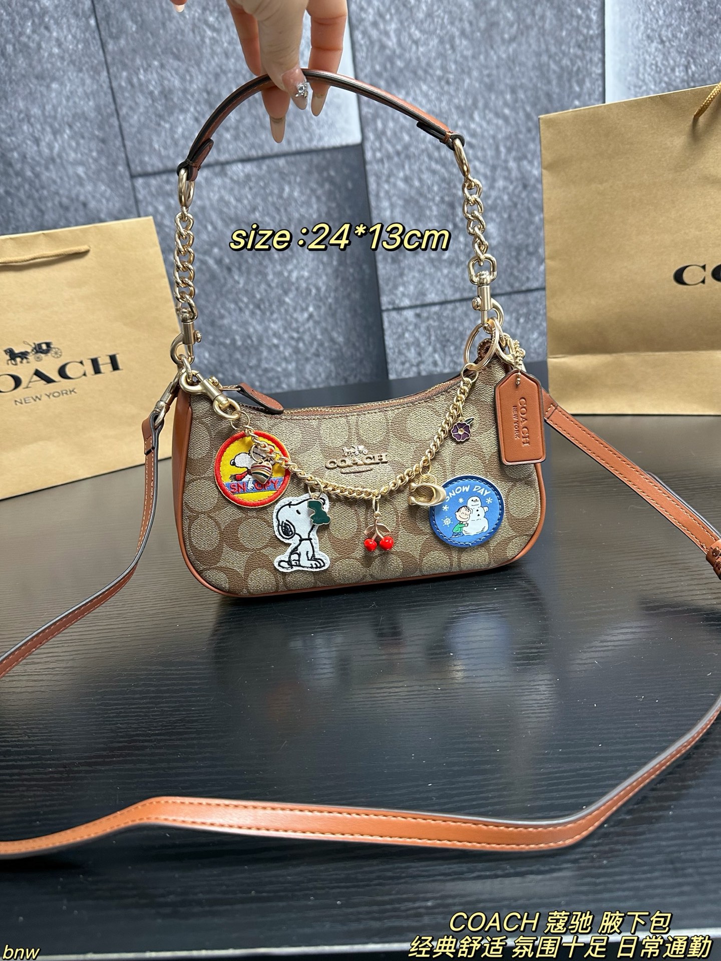wsxc1762014855648_0 Coach Fashion Bag - Image 1