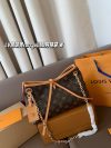 Louis Vuitton Fashion Bag