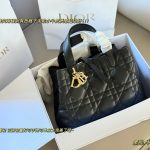 Dior Fashion Bag