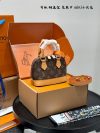 Louis Vuitton Fashion Bag