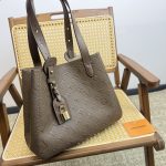 Louis Vuitton Fashion Bag