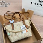 Coach Fashion Bag