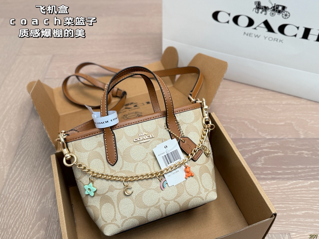 wsxc1762612337729_1 Coach Fashion Bag - Image 1