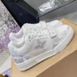 Louis Vuitton Fashion Shoes