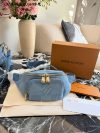 Louis Vuitton Fashion Bag